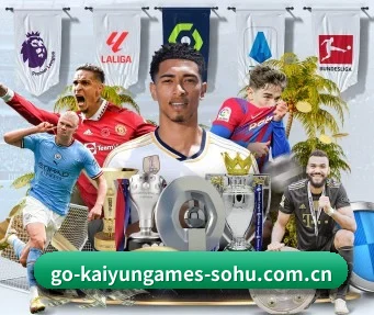 开云体育 APP | KAIYUN SPORTS